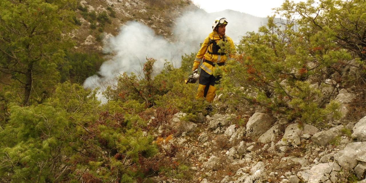 Dans les Alpes-Maritimes, prévention des incendies et pastoralisme font bon ménage