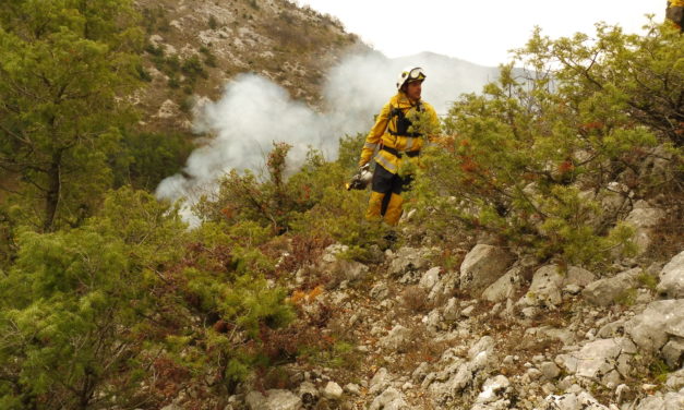 Dans les Alpes-Maritimes, prévention des incendies et pastoralisme font bon ménage