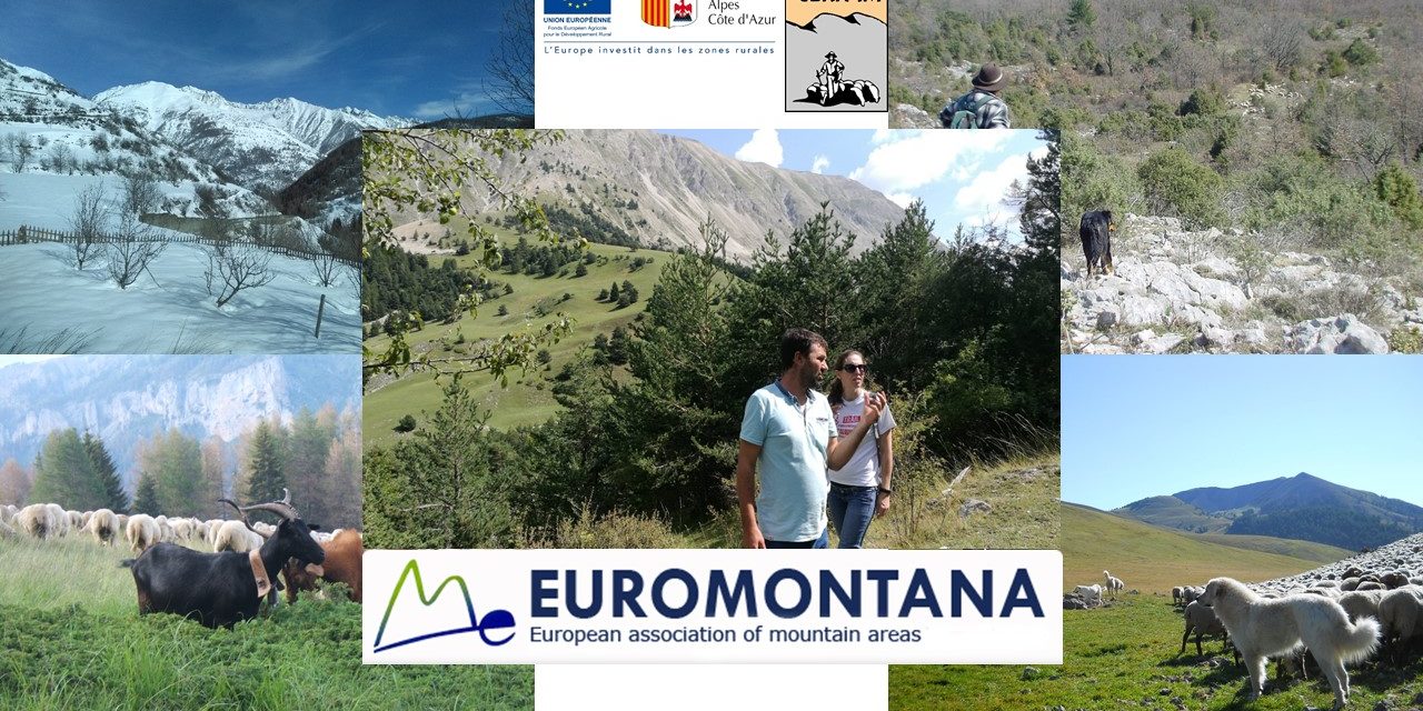 Euromontana accueillie sur une estive des Alpes de Haute-Provence
