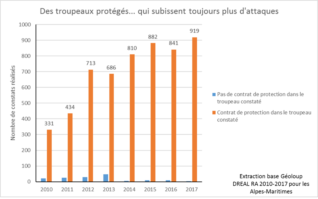 Prédation dans les Alpes-Maritimes : le nombre de constats réalisés par les services de l’Etat entre 2010 et 2017, et leur répartition entre les exploitations bénéficiant ou non d’un contrat de protection. Les chiffres parlent d’eux-mêmes et ont beaucoup interrogé les éleveurs de l’Aveyron.