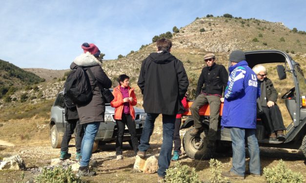 On vous dit patou… ou quand les éleveurs aveyronnais viennent se renseigner sur les chiens de protection dans les Alpes-Maritimes