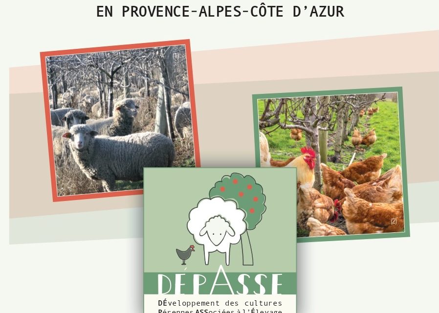 Intégrer des animaux aux cultures pérennes – projet DÉPASSE –