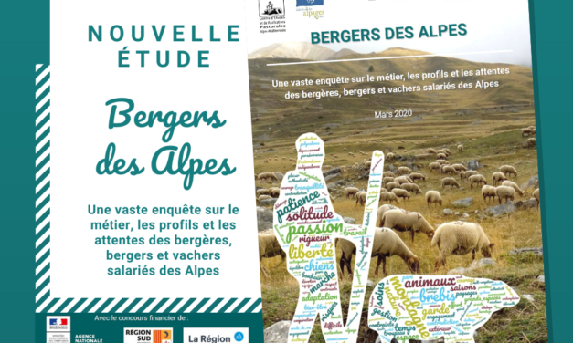 Bergers des Alpes : Une vaste enquête sur le métier, les profils et les attentes des bergères, bergers et vachers salariés des Alpes