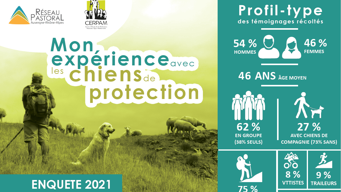 « Mon expérience avec les chiens de protection » : les résultats 2021 sont disponibles !