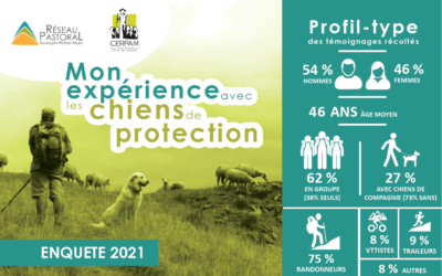 « Mon expérience avec les chiens de protection » : les résultats 2021 sont disponibles !
