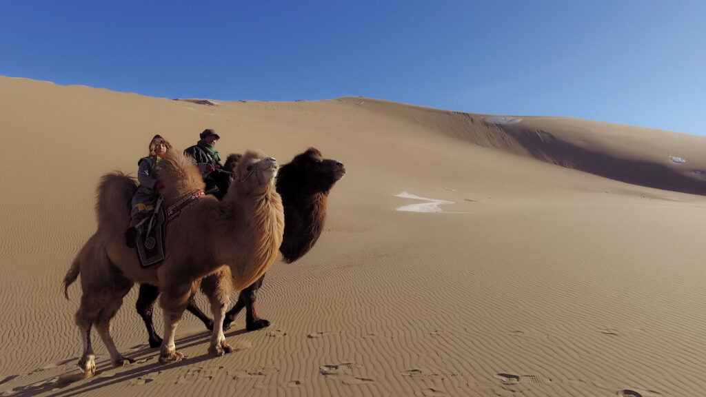 8.1 Je Reviendrai Danser Dans Les Dunes