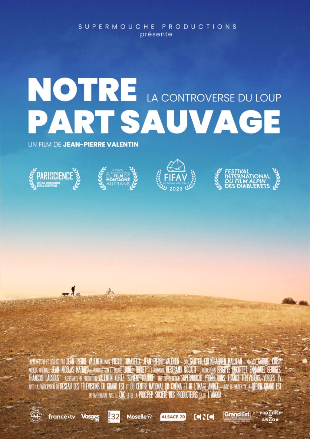 Affiche Nps 4 Festivals