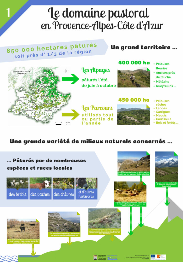 Poster 1 Pastoralisme Vf