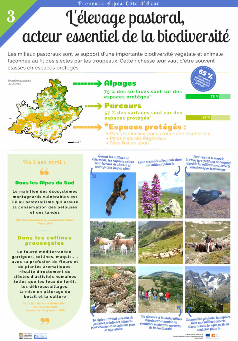 Poster 3 Biodiversité Vf