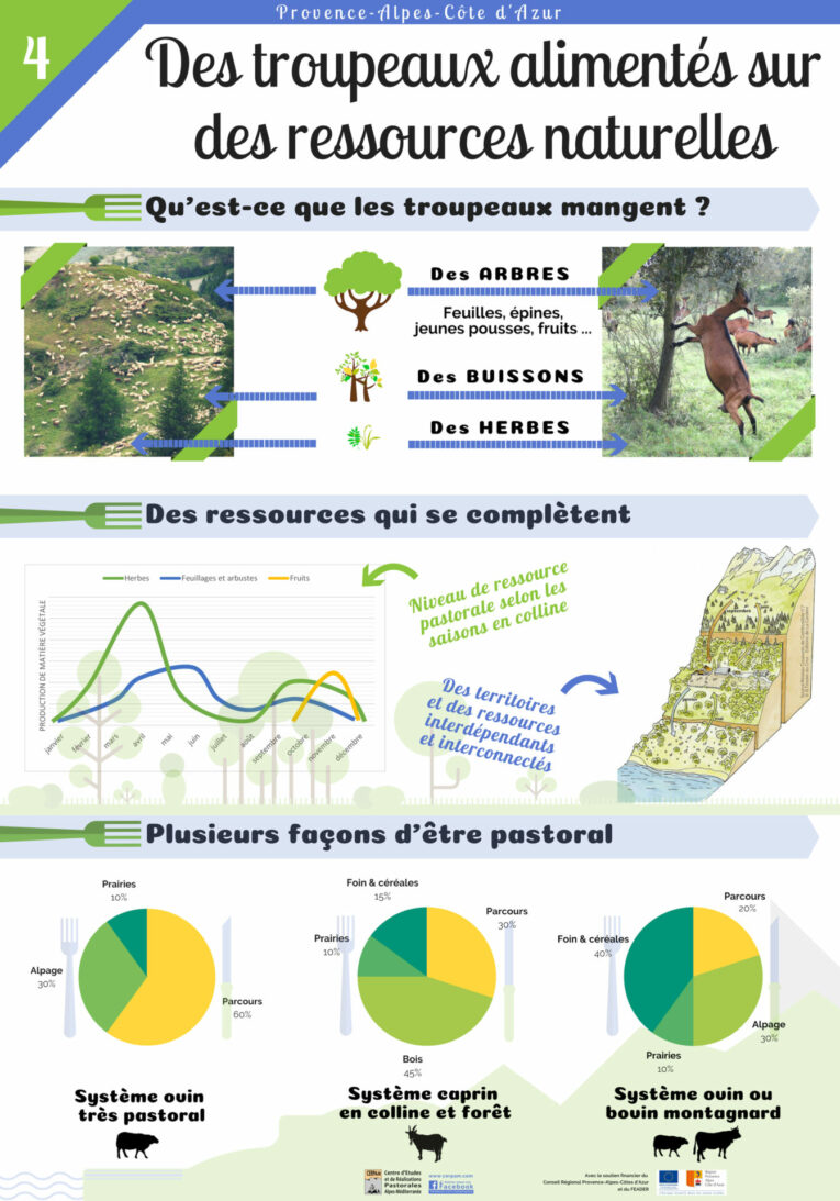 Poster 4 Alimentation Vf