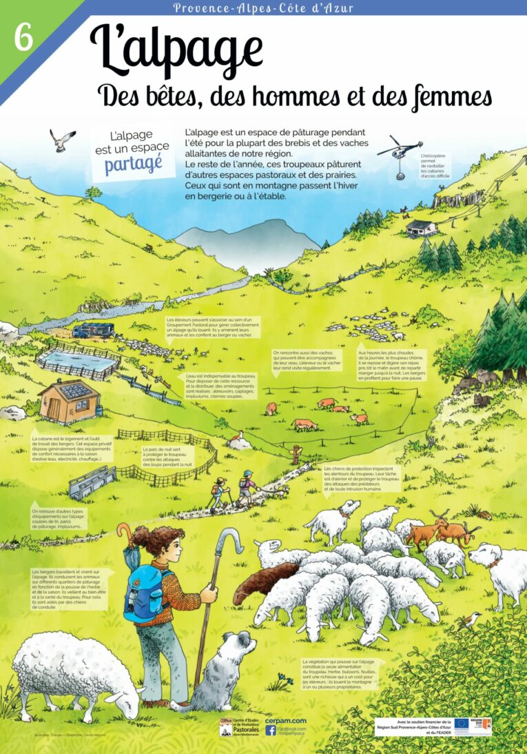 Poster 6 Alpage Vf