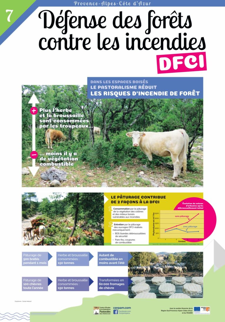 Poster 7 Dfci Vf