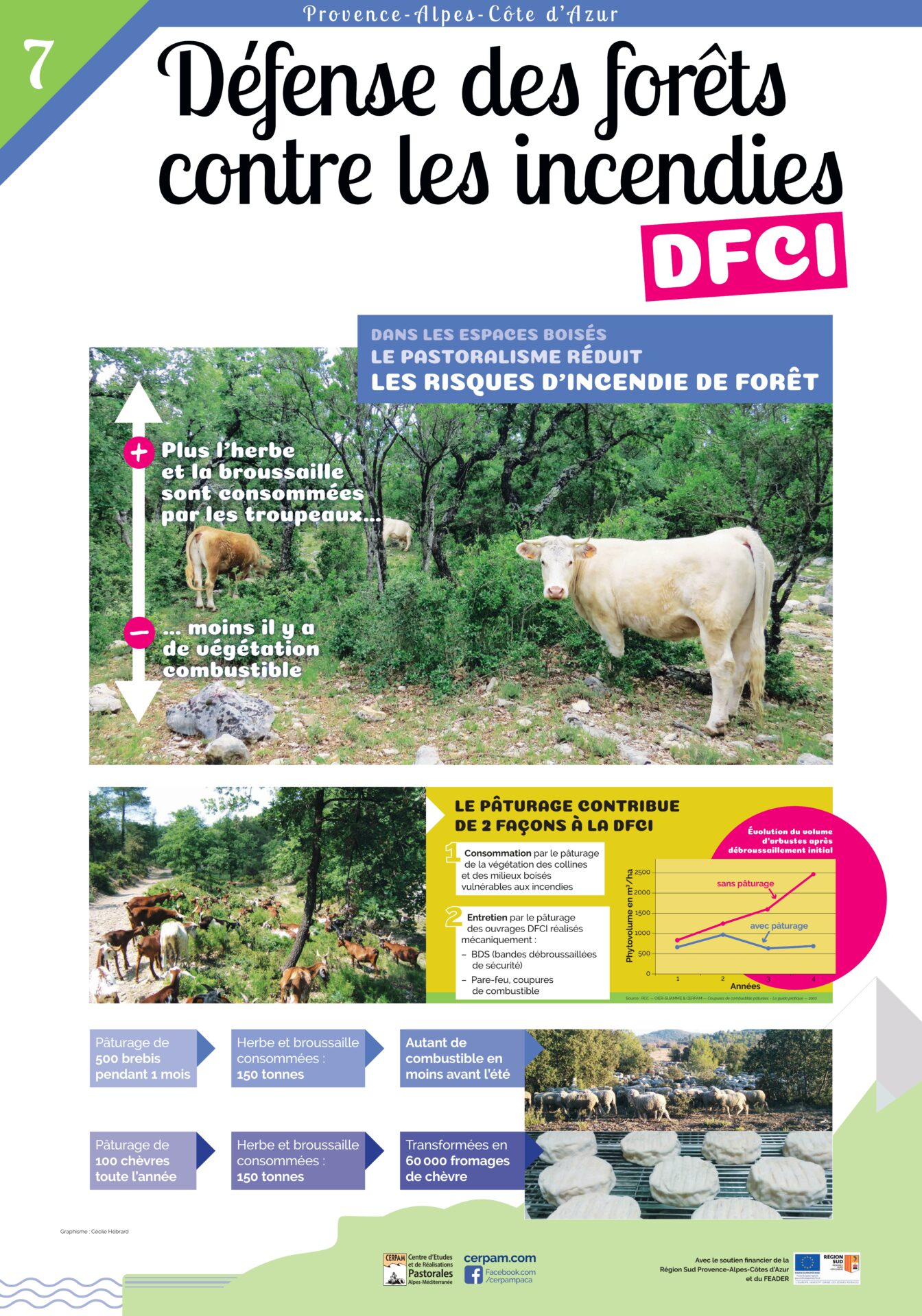 Poster 7 Dfci Vf